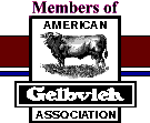 American Gelbvieh Association